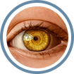 A close up of an eye with the pupil and iris turned yellow.